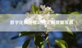 数字化转型推动国企高质量发展