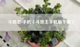 斗地主 手机（斗地主手机版下载）