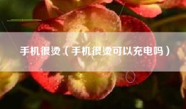 手机很烫（手机很烫可以充电吗）