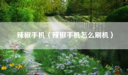 辣椒手机（辣椒手机怎么刷机）