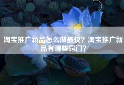 淘宝推广新品怎么做最快？淘宝推广新品有哪些窍门？