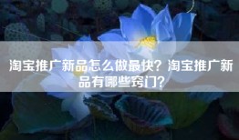 淘宝推广新品怎么做最快？淘宝推广新品有哪些窍门？