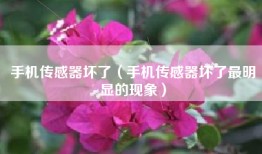 手机传感器坏了（手机传感器坏了最明显的现象）