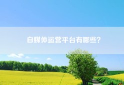 自媒体运营平台有哪些？