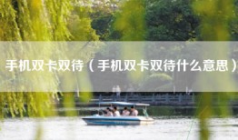 手机双卡双待（手机双卡双待什么意思）