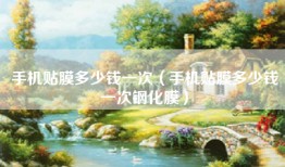 手机贴膜多少钱一次（手机贴膜多少钱一次钢化膜）