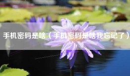 手机密码是啥（手机密码是啥我忘记了）