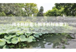 用手机称重（用手机称重量）