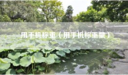 用手机称重（用手机称重量）