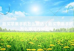 新买苹果手机怎么激活（新买苹果手机怎么激活视频教程）