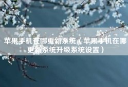 苹果手机在哪更新系统（苹果手机在哪更新系统升级系统设置）