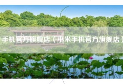 手机官方旗舰店（小米手机官方旗舰店）