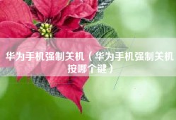 华为手机强制关机（华为手机强制关机按哪个键）