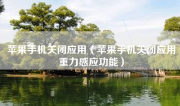 苹果手机关闭应用（苹果手机关闭应用重力感应功能）