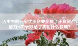 活生生的一家优质企业变成了不良资产，活力28的衰败给了我们什么教训？