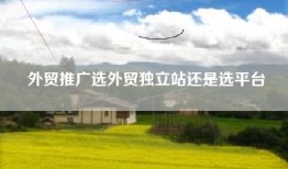 外贸推广选外贸独立站还是选平台
