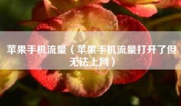 苹果手机流量（苹果手机流量打开了但无法上网）