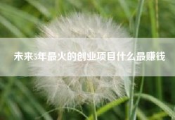 未来5年最火的创业项目什么最赚钱