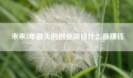 未来5年最火的创业项目什么最赚钱