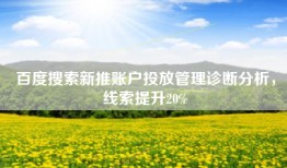 百度搜索新推账户投放管理诊断分析，线索提升20%