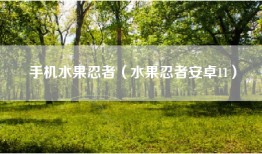 手机水果忍者（水果忍者安卓11）