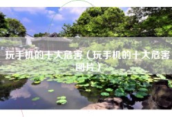 玩手机的十大危害（玩手机的十大危害图片）