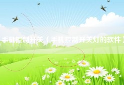 手机控制开关（手机控制开关灯的软件）