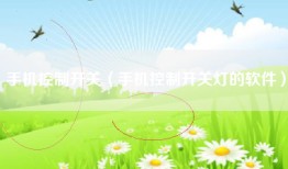 手机控制开关（手机控制开关灯的软件）