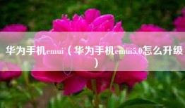 华为手机emui（华为手机emui5.0怎么升级）