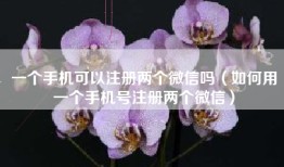 一个手机可以注册两个微信吗（如何用一个手机号注册两个微信）