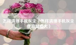 怎样清理手机灰尘（怎样清理手机灰尘使音量变大）