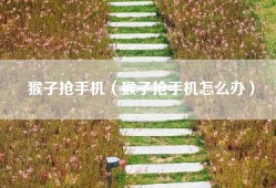 猴子抢手机（猴子抢手机怎么办）