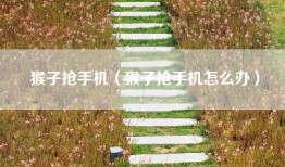 猴子抢手机（猴子抢手机怎么办）