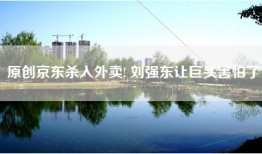 原创京东杀入外卖! 刘强东让巨头害怕了