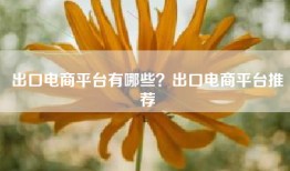 出口电商平台有哪些？出口电商平台推荐