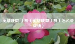 英雄联盟 手机（英雄联盟手机上怎么查战绩）