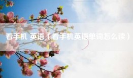 看手机 英语（看手机英语单词怎么读）