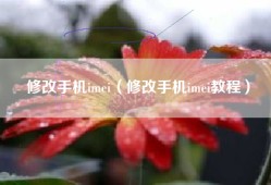 修改手机imei（修改手机imei教程）