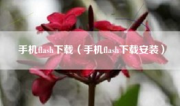 手机flash下载（手机flash下载安装）