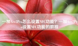 一加Ace2Pro怎么设置NFC功能？一加Ace2Pro设置NFC功能的教程