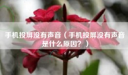 手机投屏没有声音（手机投屏没有声音是什么原因？）
