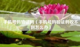 手机号码验证码（手机号码验证码收不到怎么办）
