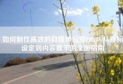 如何制作高效的自媒体运营PPT：从目标设定到内容展示的全面指南