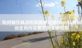 如何制作高效的自媒体运营PPT：从目标设定到内容展示的全面指南