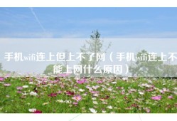 手机wifi连上但上不了网（手机wifi连上不能上网什么原因）