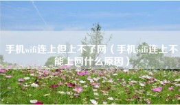 手机wifi连上但上不了网（手机wifi连上不能上网什么原因）