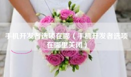 手机开发者选项在哪（手机开发者选项在哪里关闭）