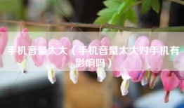 手机音量太大（手机音量太大对手机有影响吗）