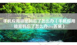 手机应用锁密码忘了怎么办（手机应用锁密码忘了怎么办vivo答案）