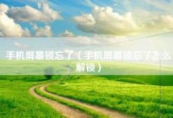 手机屏幕锁忘了（手机屏幕锁忘了怎么解锁）